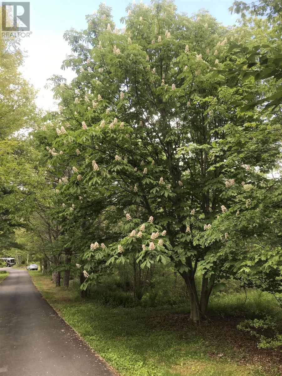 15 COTTAGE LANE Image 3