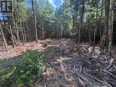 Commercial for Sale in Nova-scotia