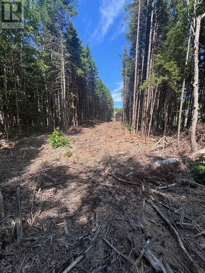 Commercial for Sale in Nova-scotia