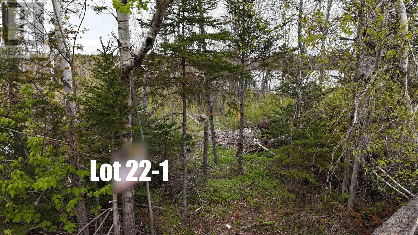 Lot - 22-1 LAKE ROAD Image 3