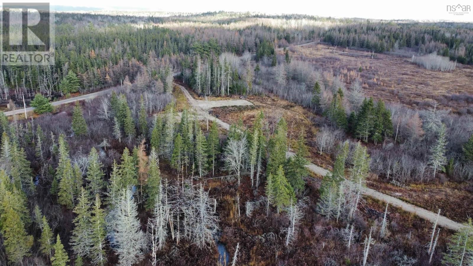 BARREN ROAD Image 16