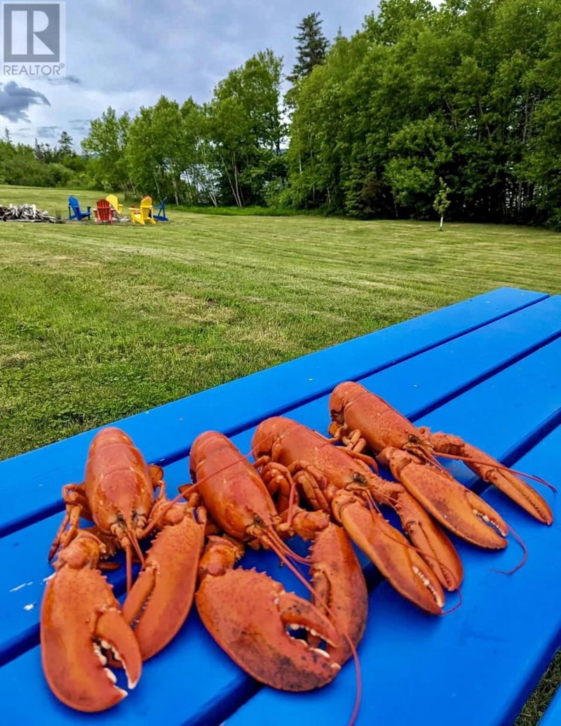 Image #1 of Business for Sale at West Lake Ainslie, West Lake Ainslie, Nova Scotia