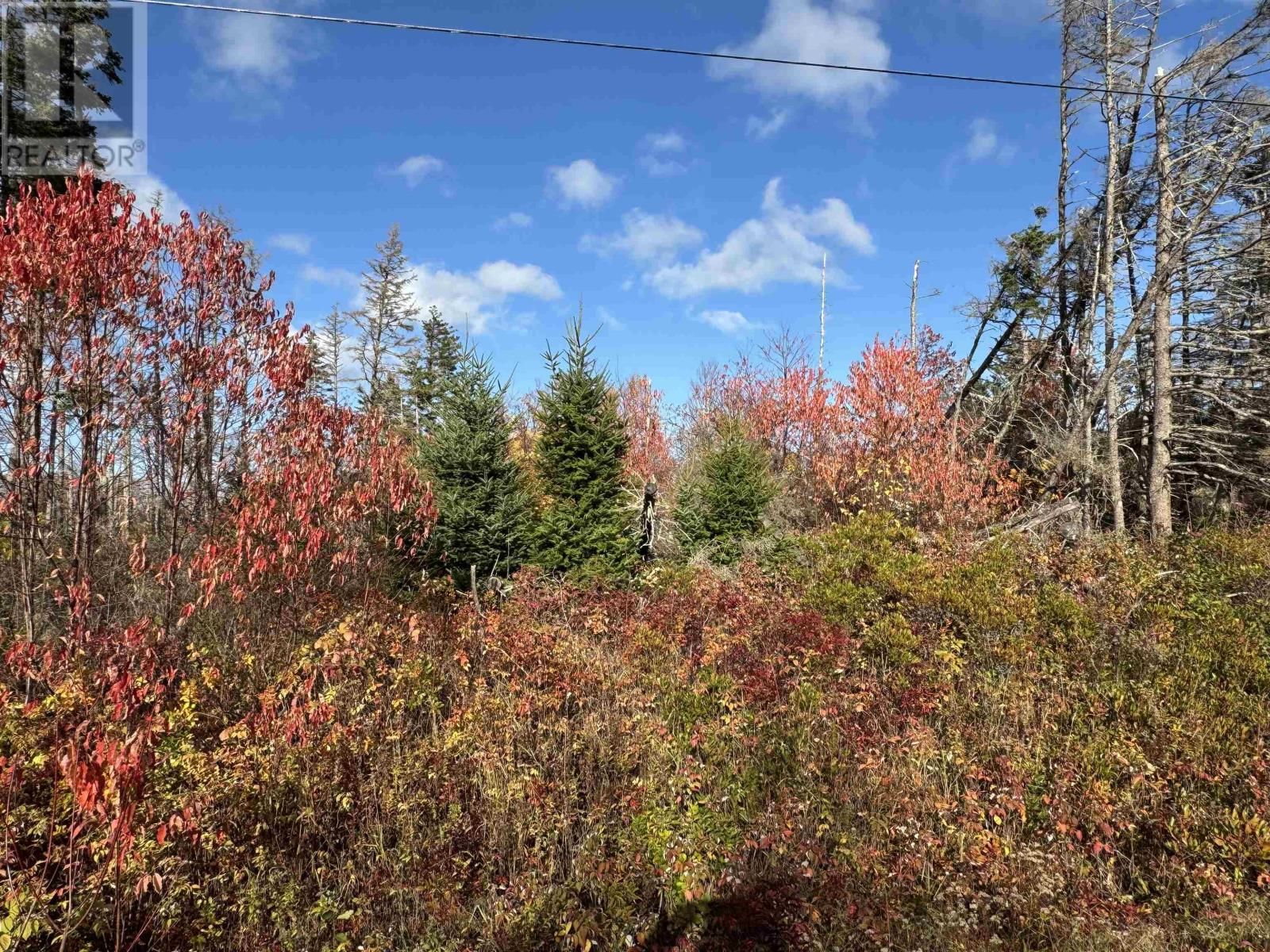 Lot Willow Lane, Priest Pond, Prince Edward Island C0A 2B0