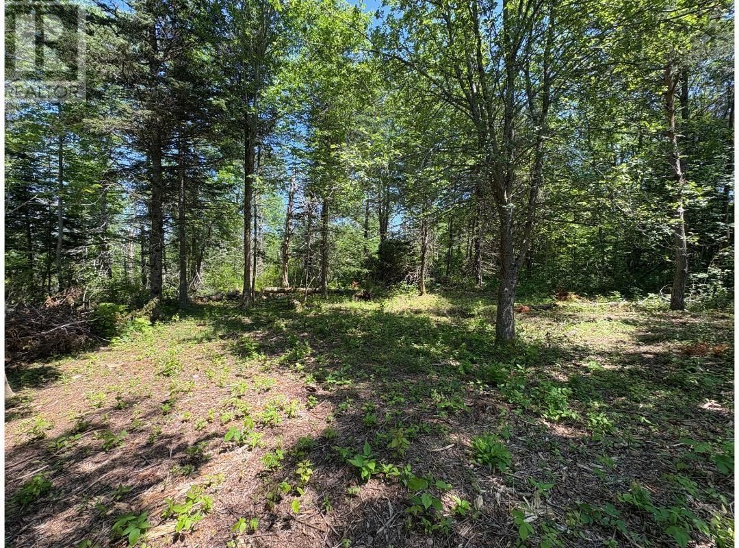 6908 HIGHWAY 12 Image 12