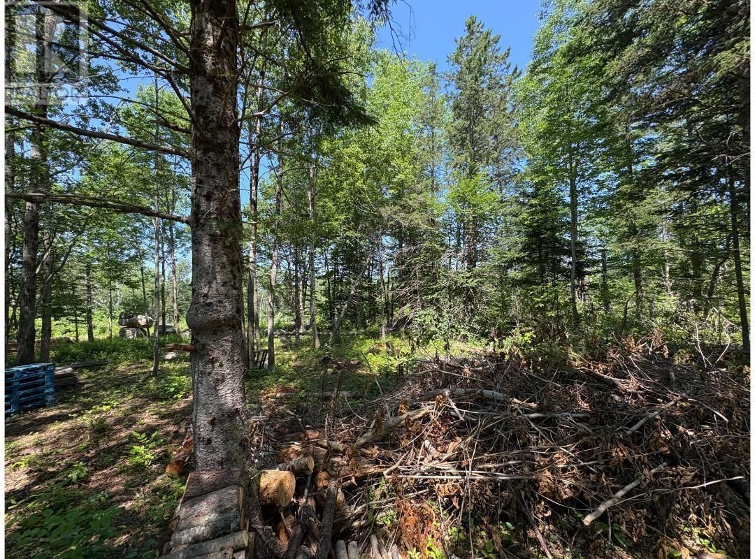 6908 HIGHWAY 12 Image 13