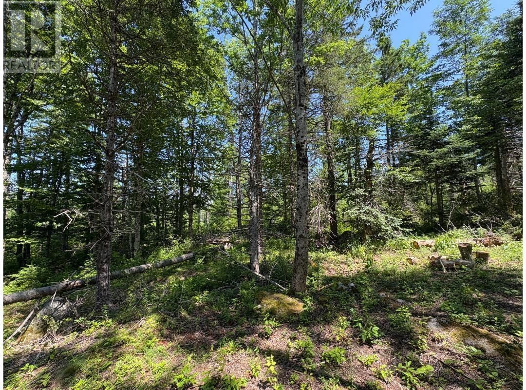 6908 HIGHWAY 12 Image 15