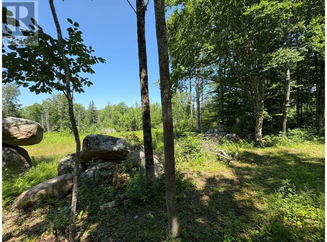 6908 HIGHWAY 12 Image 16