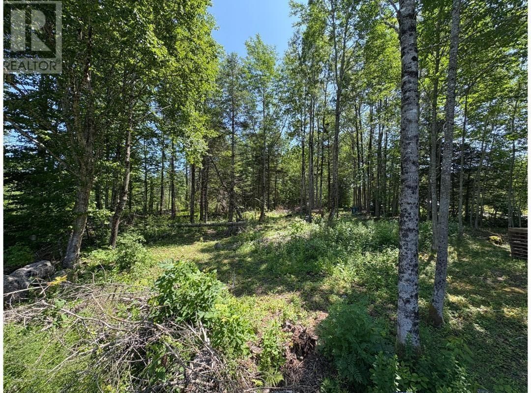 6908 HIGHWAY 12 Image 17