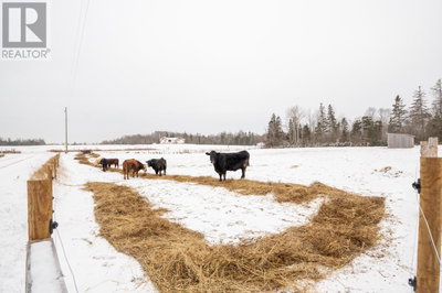 Businesses for Sale in Prince-edward-island