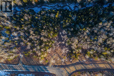 Image #1 of Commercial for Sale at Cove, Oxford, Nova Scotia