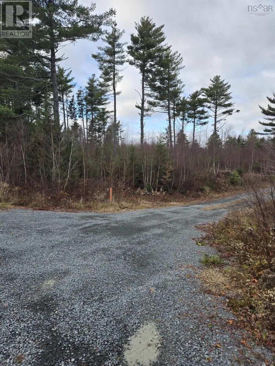 P-1 Baker Road, Mount Pleasant, Nova Scotia B0R 1G0