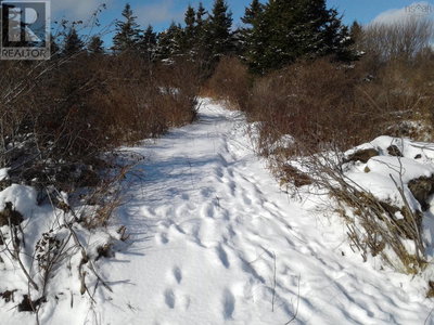 Commercial for Sale in Nova-scotia