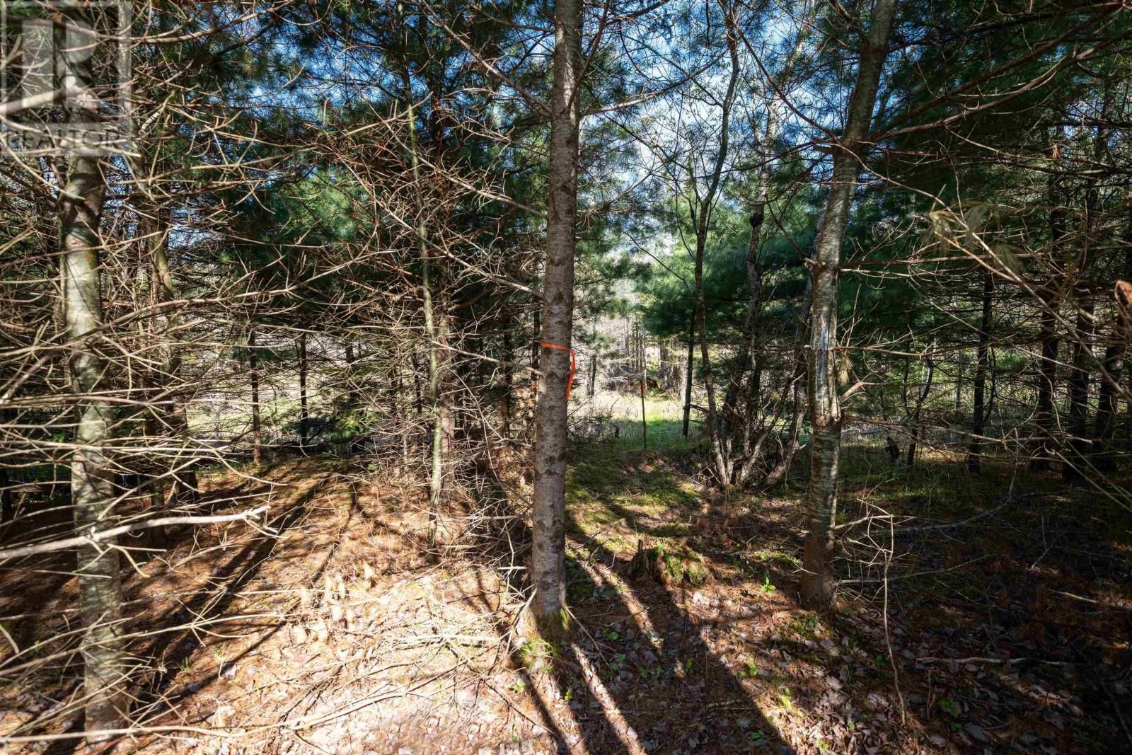 Lot 2 BLOIS ROAD Image 12