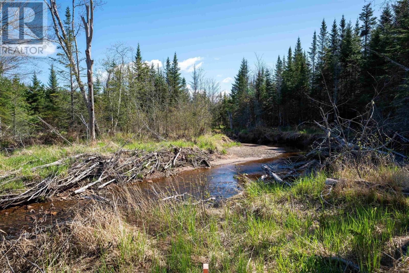 Lot 2 BLOIS ROAD Image 14