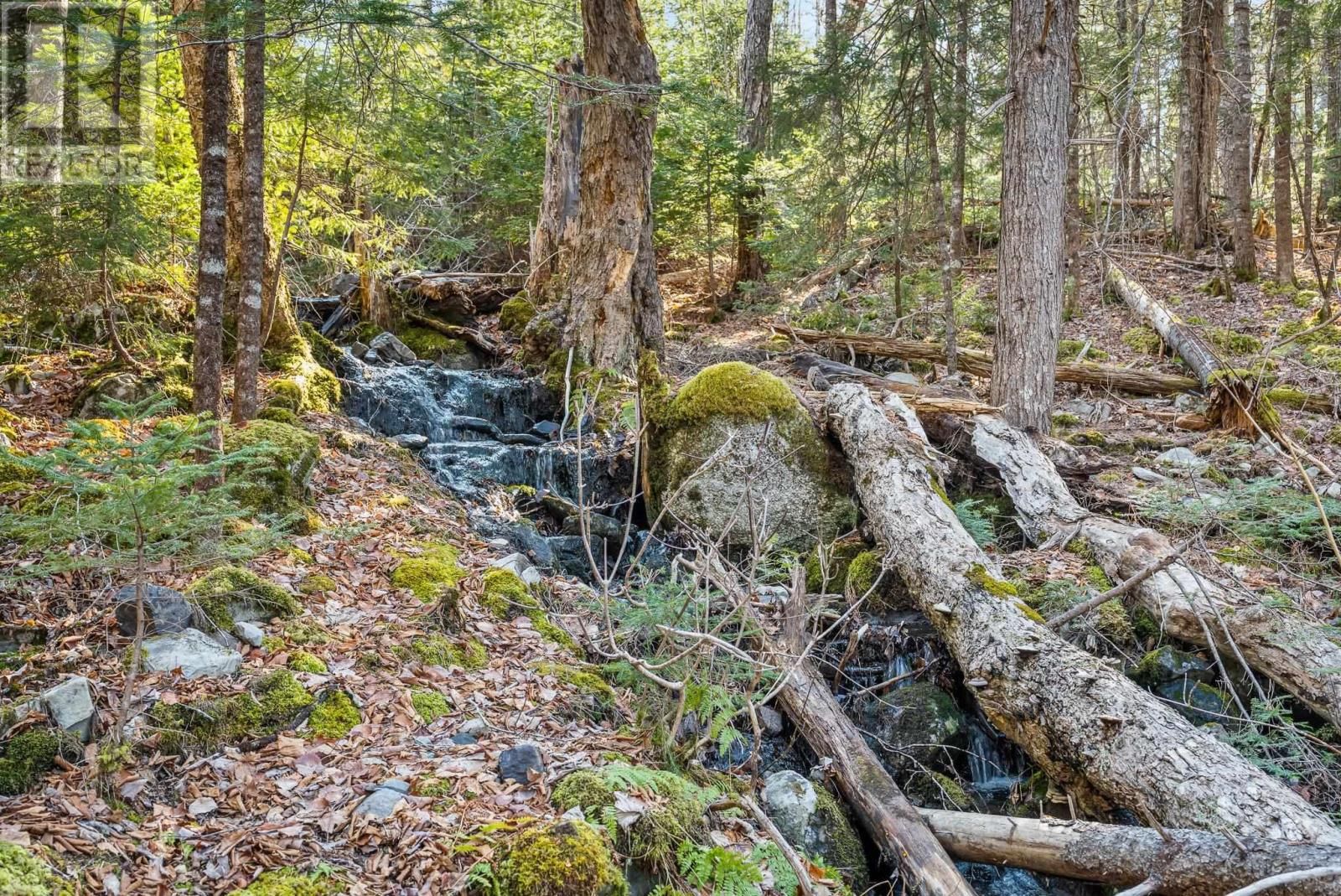 Lot 3 STAMPING MILL LANE Image 16