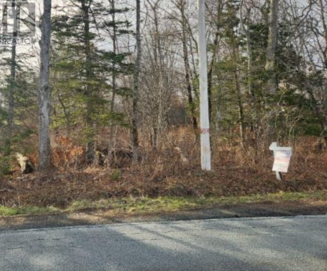 8 ACRES CEDAR ROAD Image 2