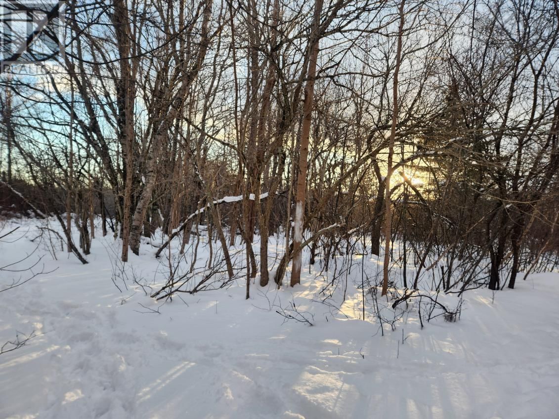 8 ACRES CEDAR ROAD Image 3