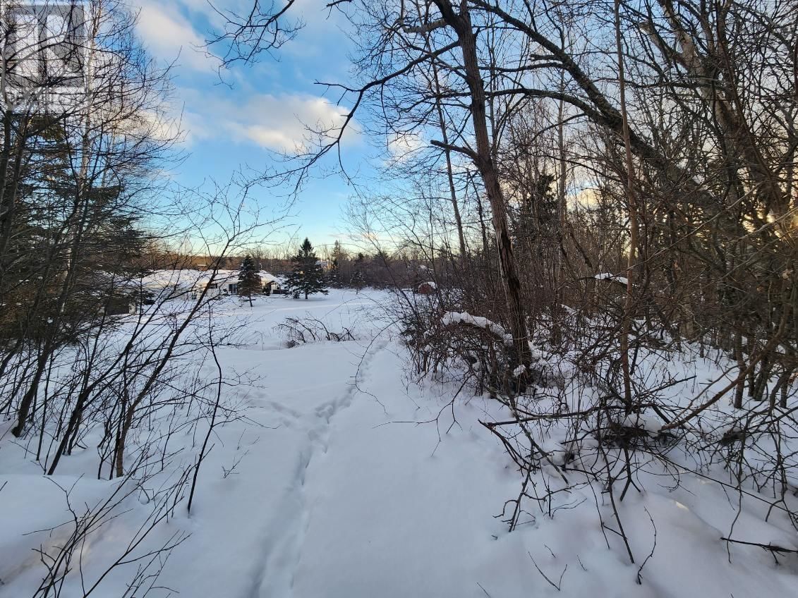 8 ACRES CEDAR ROAD Image 7