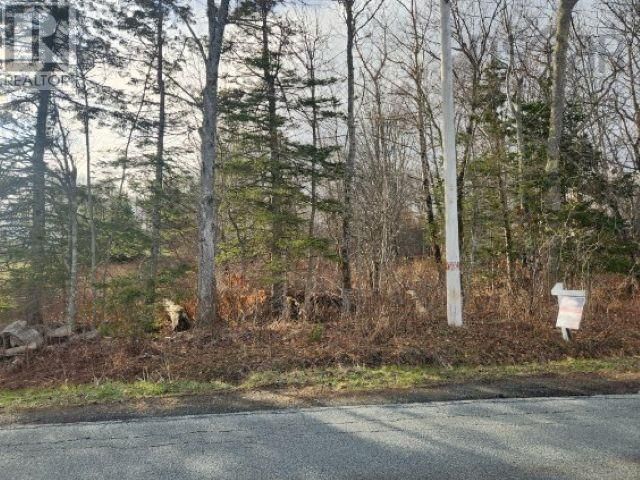 8 ACRES CEDAR ROAD Image 8