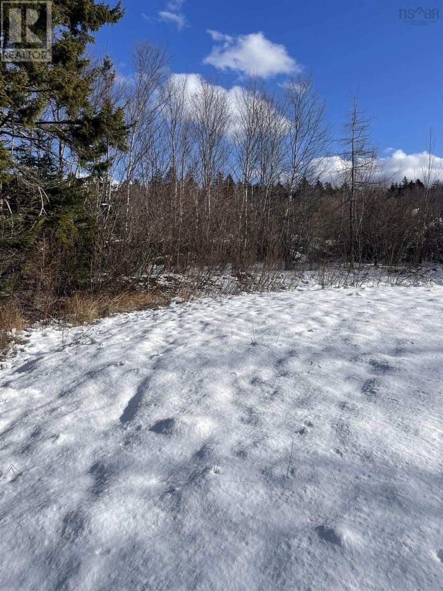 847 PATRICE ROAD Image 14