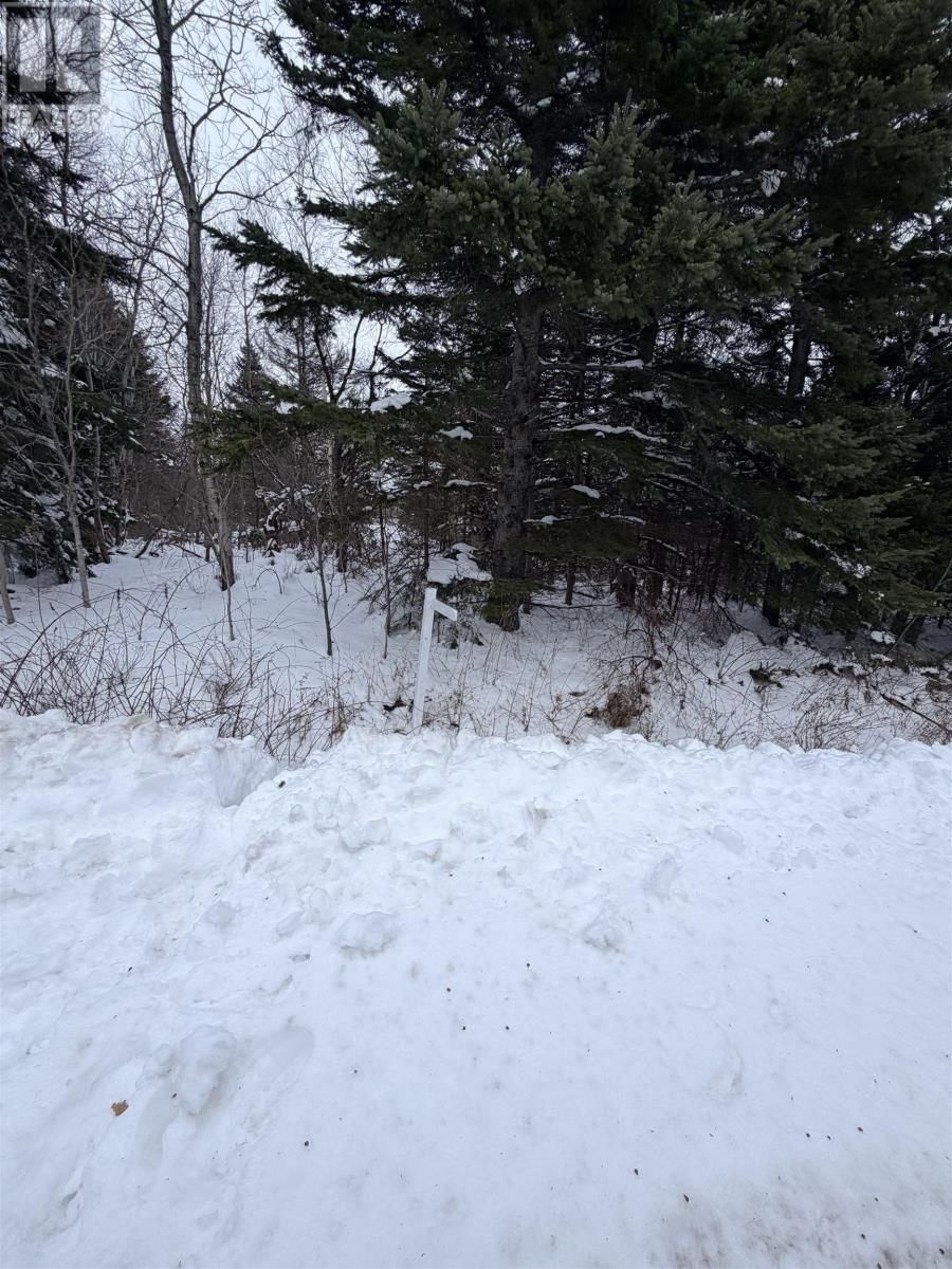 SPANISH RIVER COURT Image 1