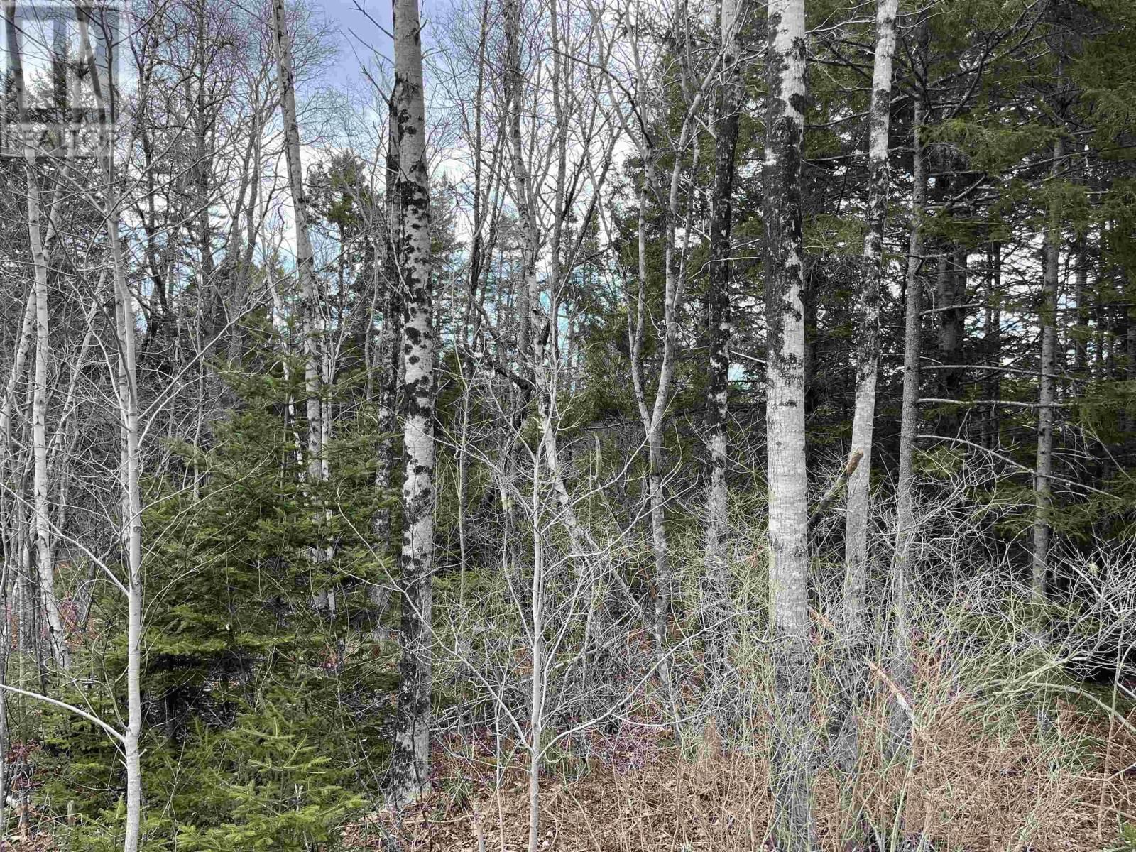 200 Sarty Road, Hebbs Cross, Nova Scotia B4V 0X6