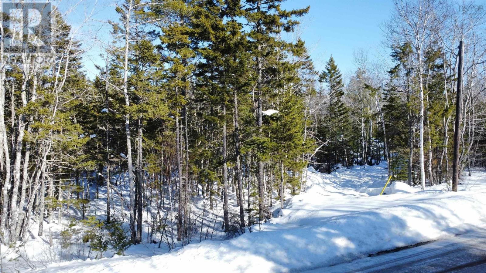 13 TROUT LAKE ROAD Image 2