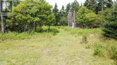 3138 Highway 320 | D'Escousse Nova Scotia | Slide Image Seven