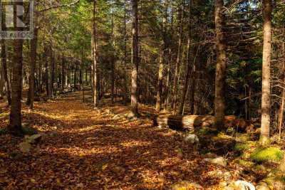 9 Little Deer Lane | Chester Basin Nova Scotia | Slide Image Seventeen