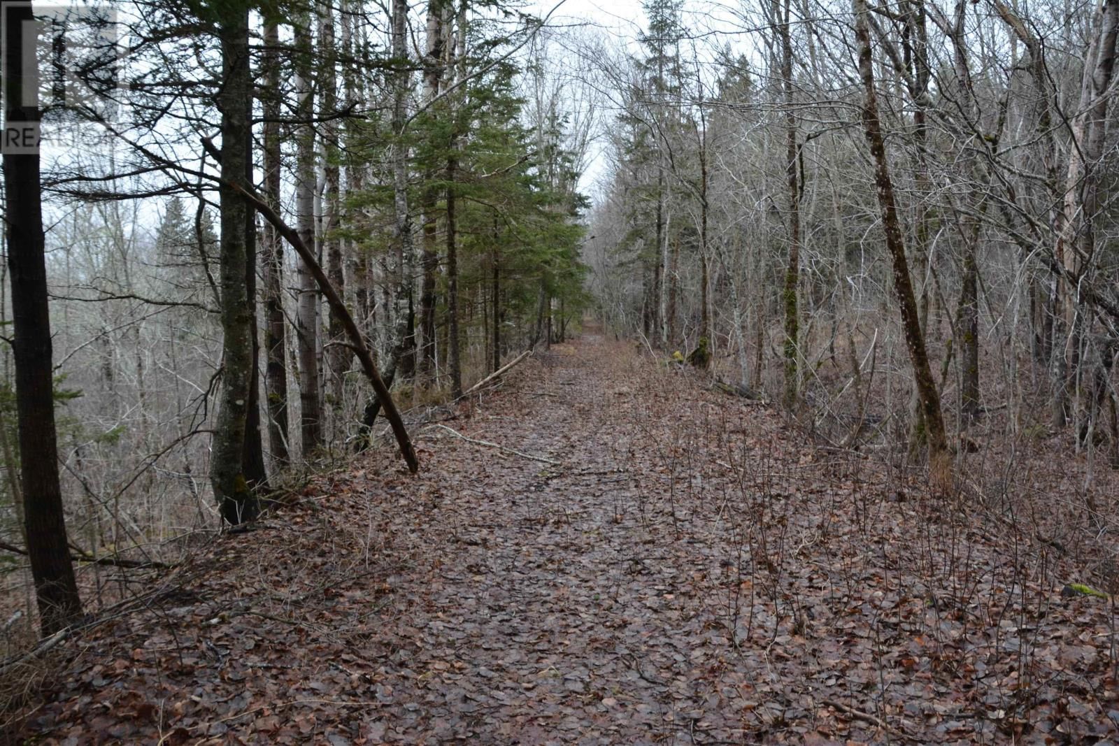 535 EAST RIVER EAST SIDE ROAD Image 27