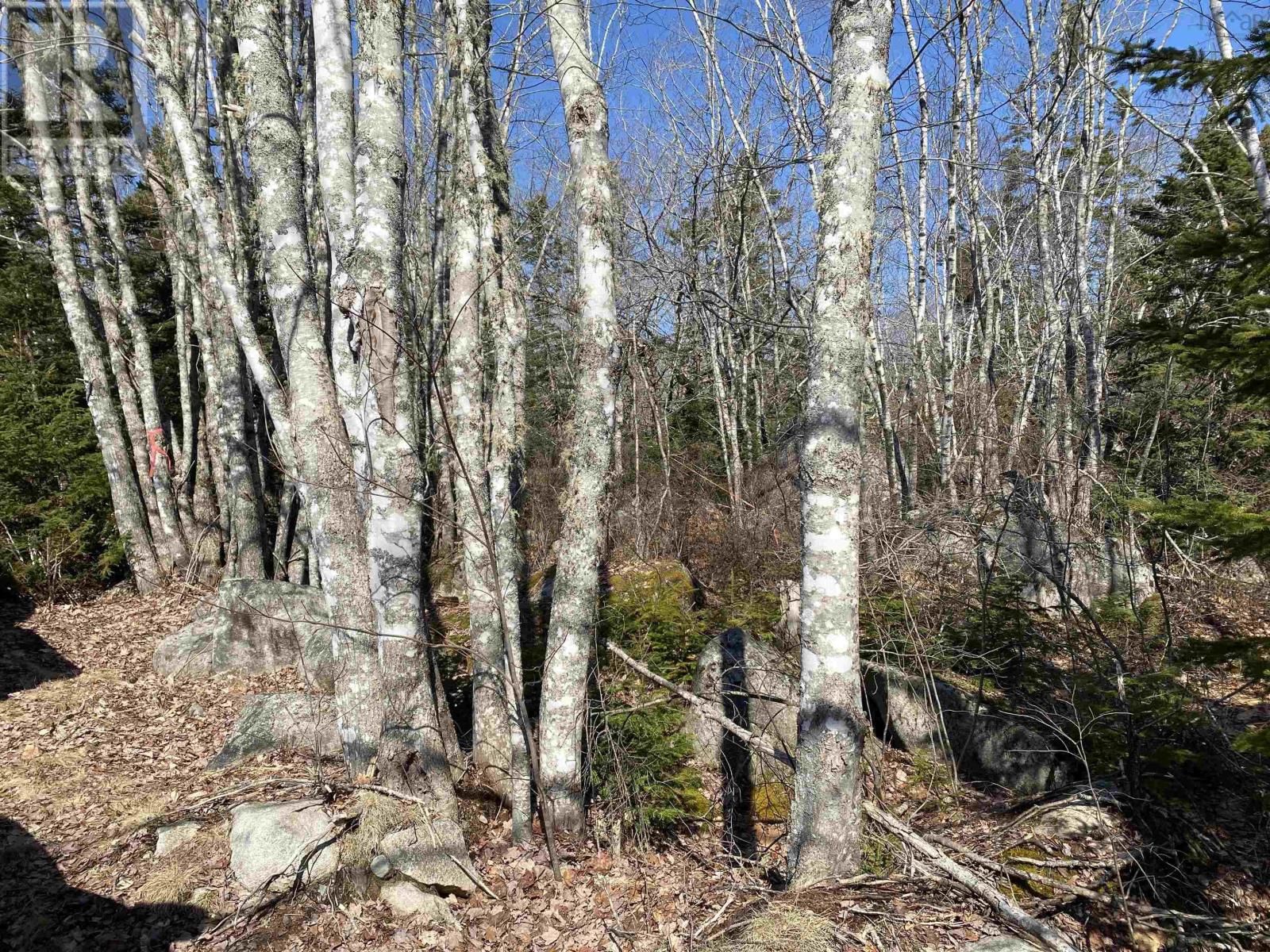 76 SUNSET ROAD Image 15