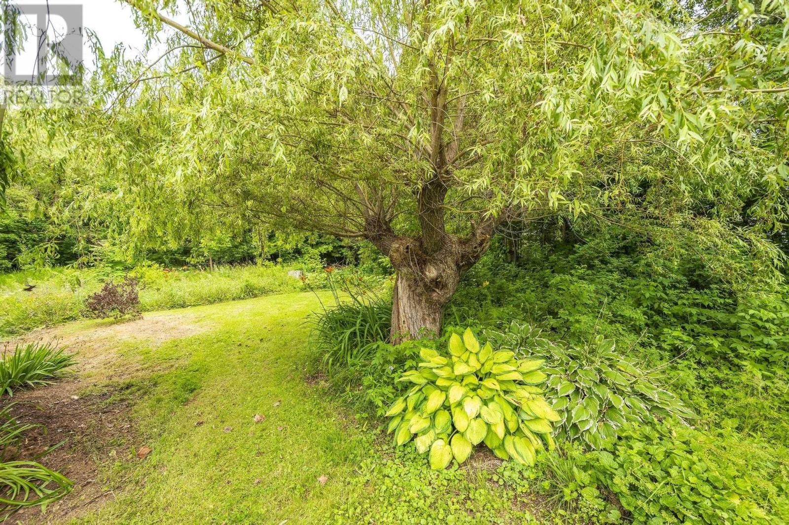 1260 BAXTERS HARBOUR ROAD Image 10