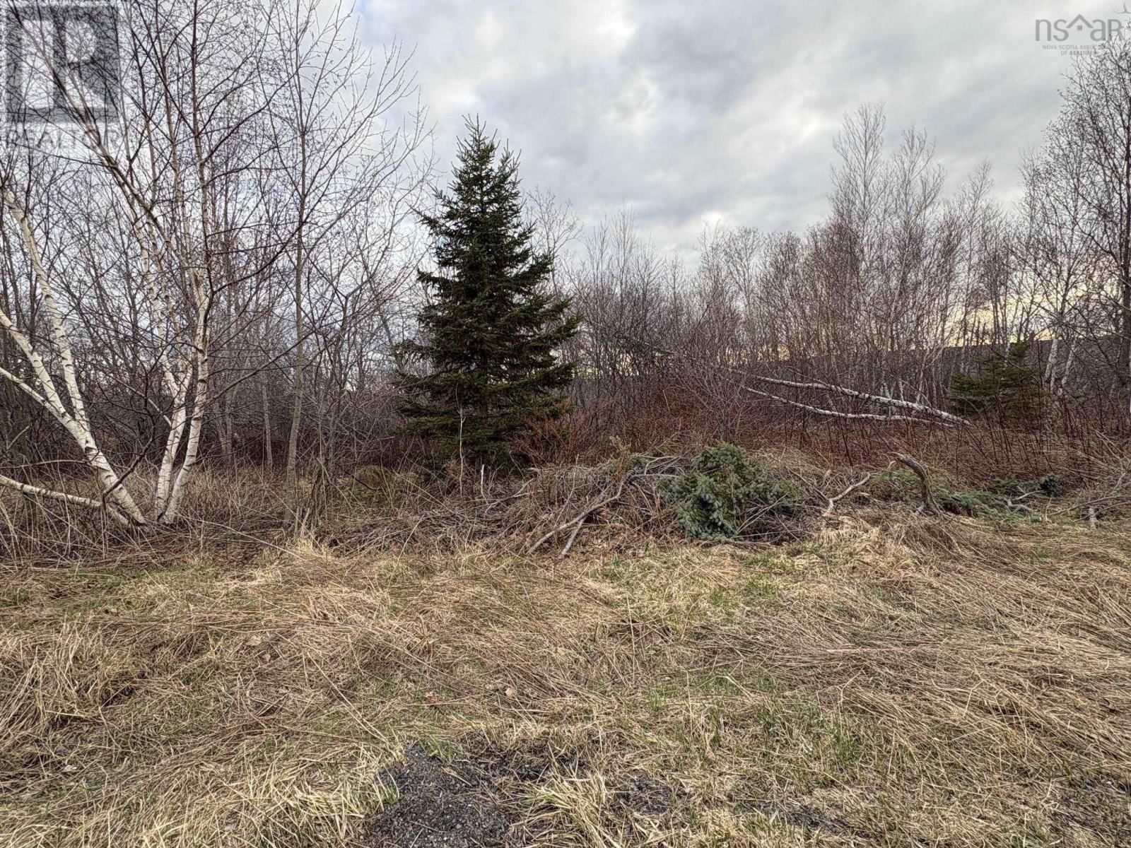 Lot OAK STREET Image 1