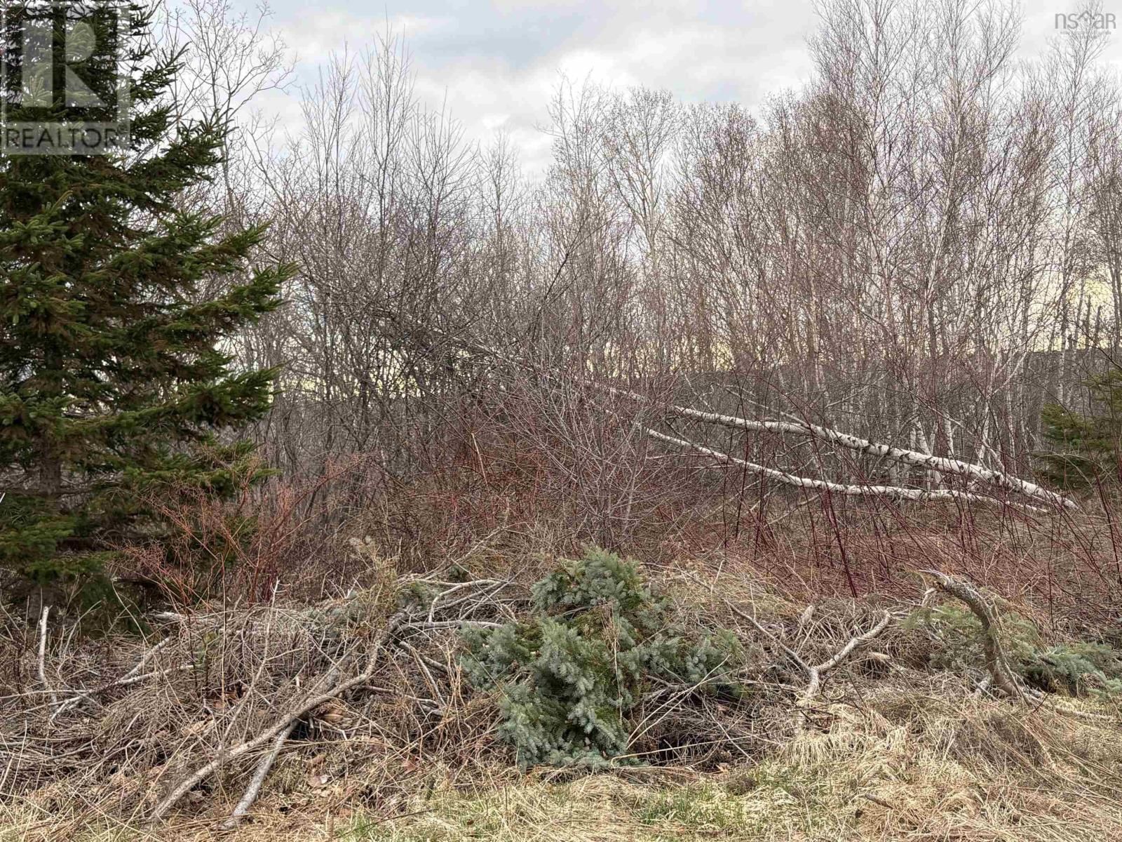 Lot OAK STREET Image 2