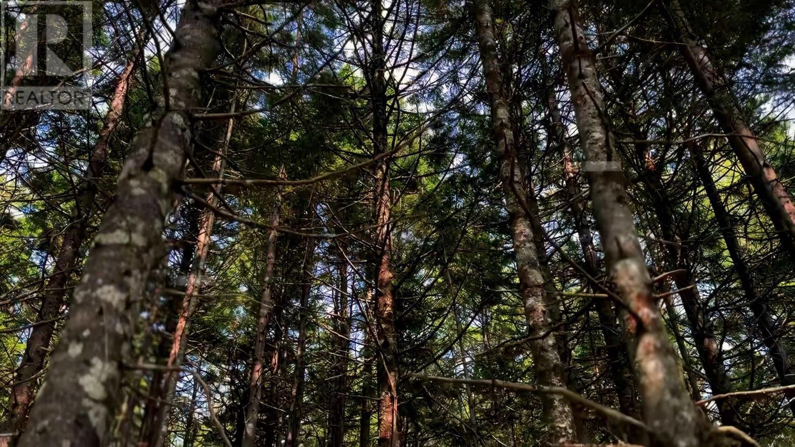 7 ROBERT E ROAD Image 11