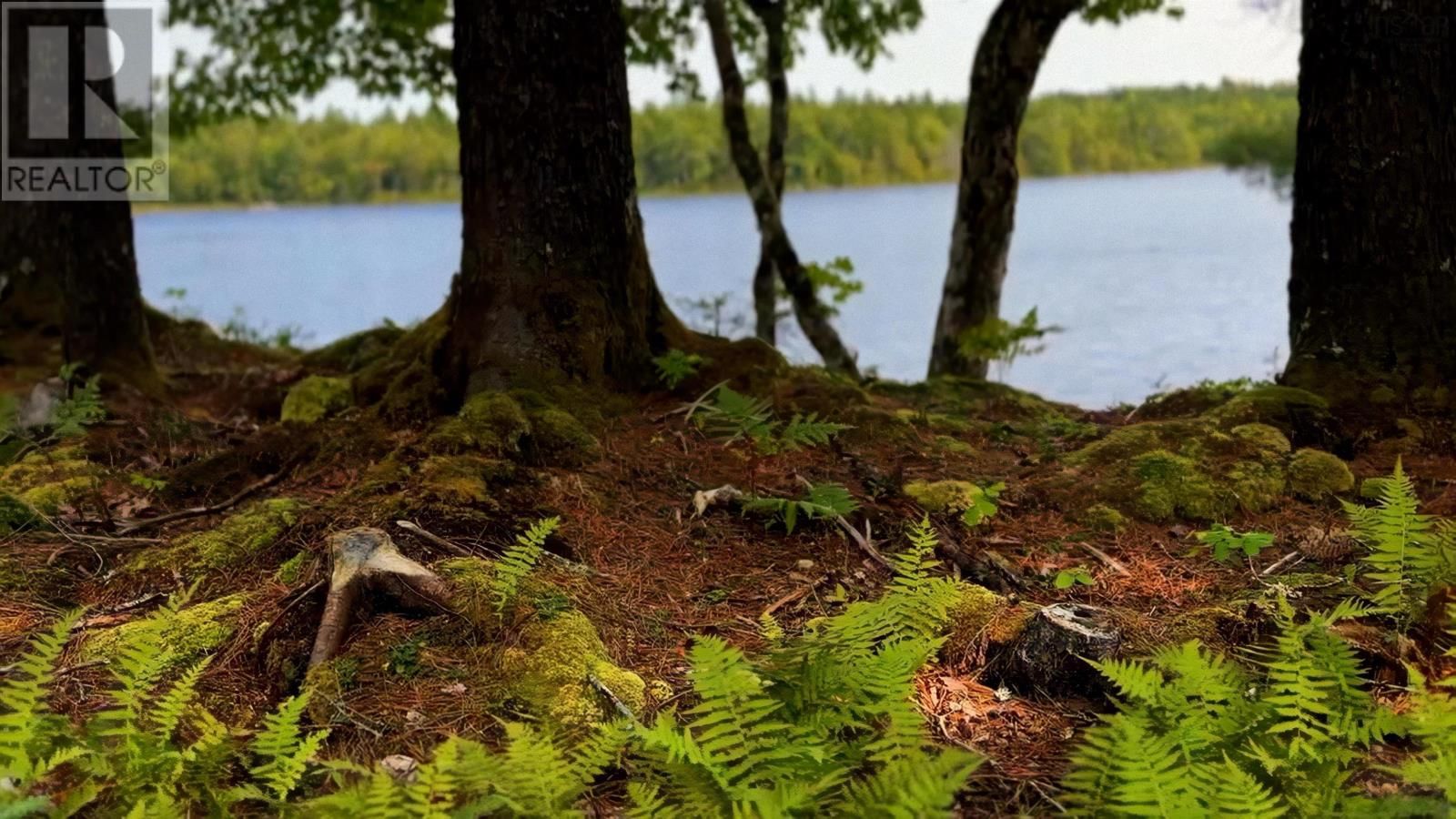 5 ROBERT E ROAD Image 9