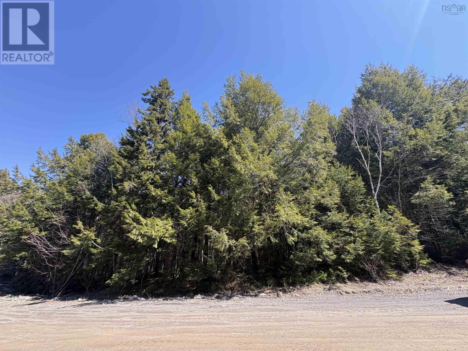 25-3 MAIN STREET Image 3