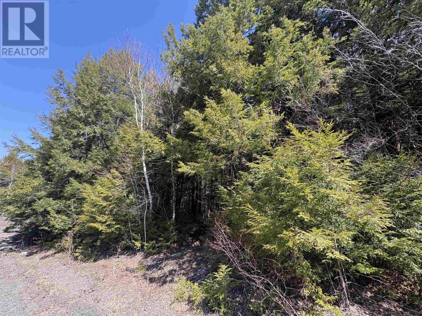 25-3 MAIN STREET Image 4