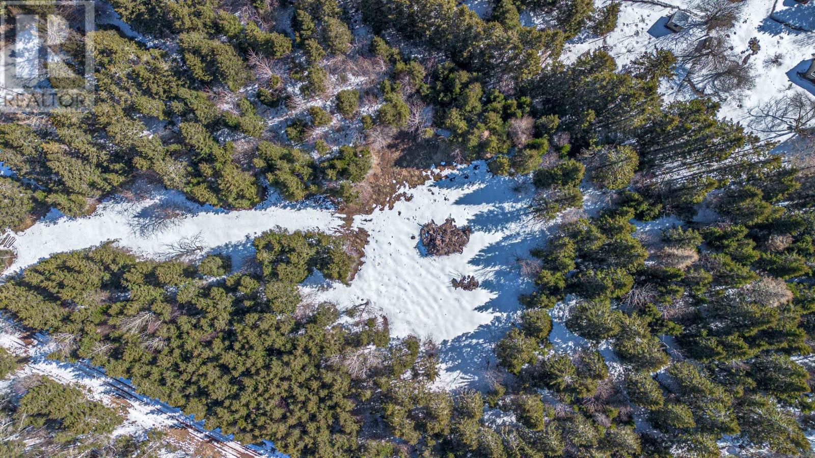 LOT - ROSS ROAD Image 11