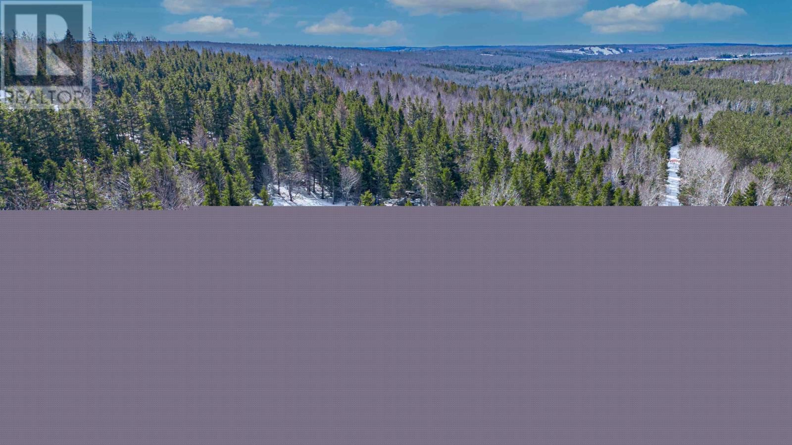 LOT - ROSS ROAD Image 13