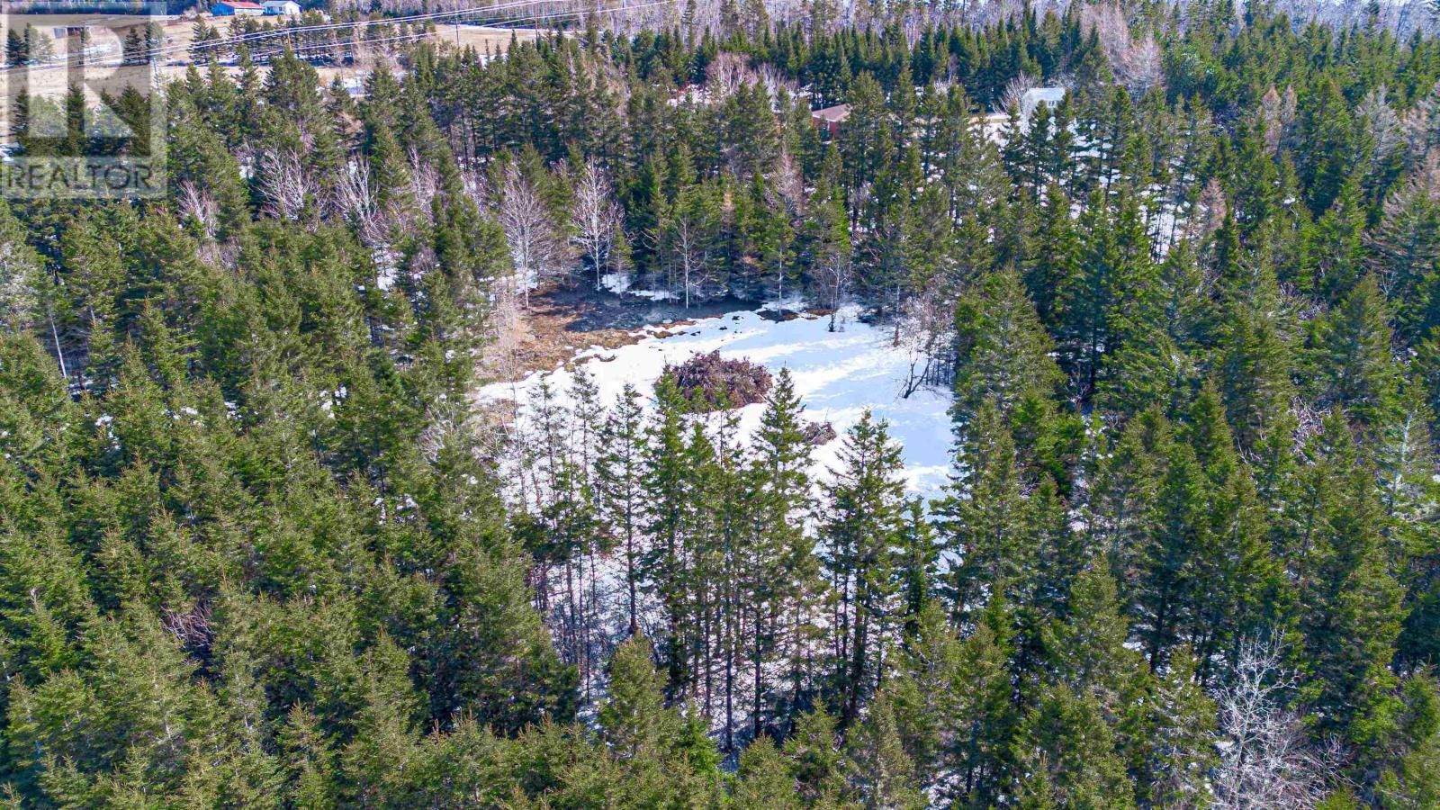 LOT - ROSS ROAD Image 15