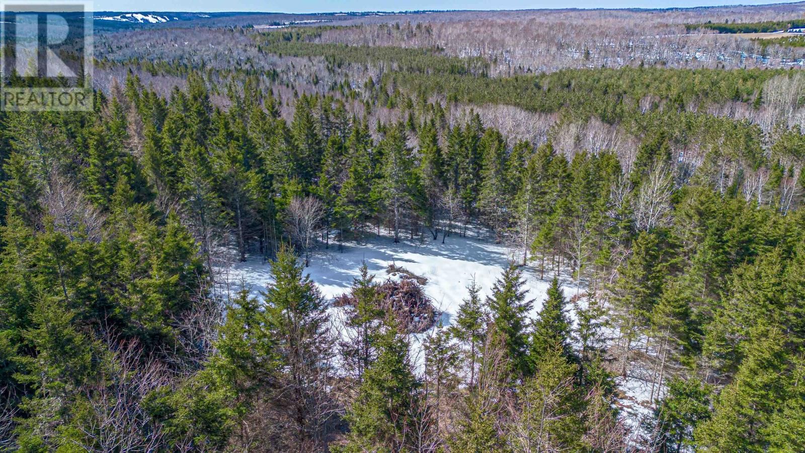 LOT - ROSS ROAD Image 6