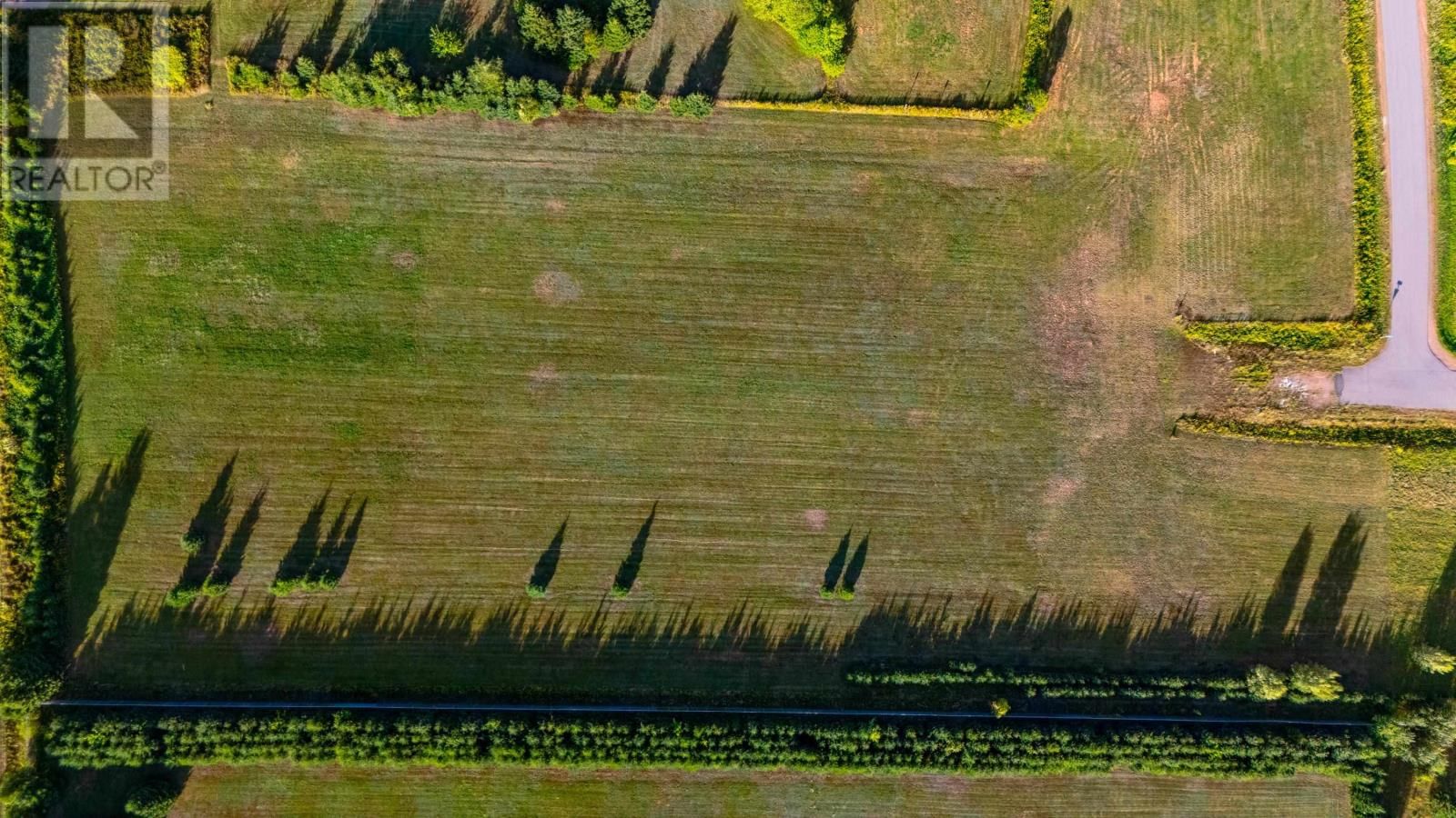 NELSON STREET Image 7