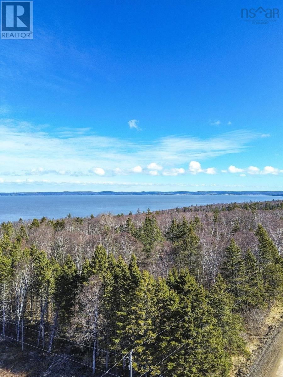 Lot 4 OLD BAXTER MILL ROAD Image 10