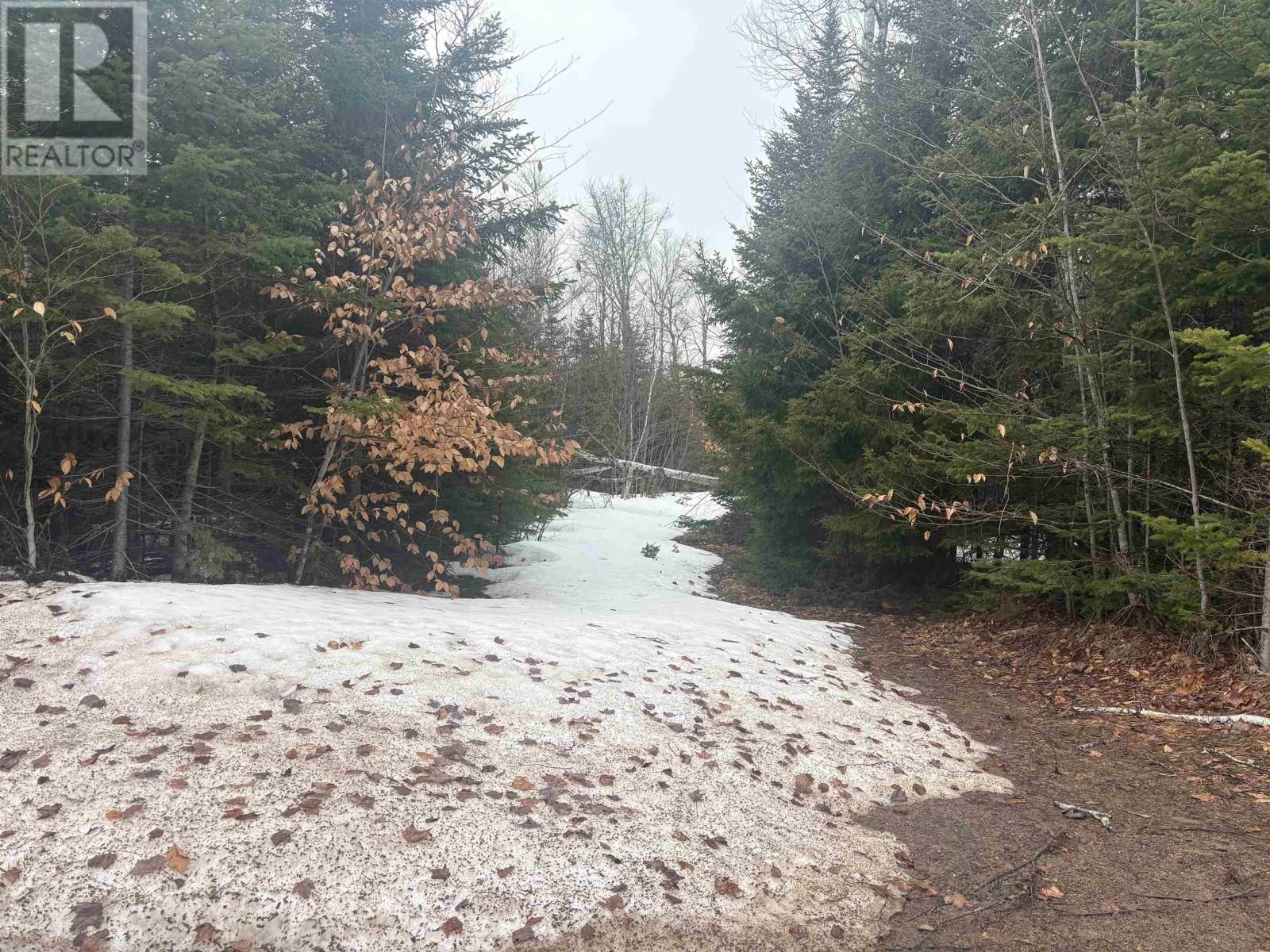 COLLINS ROAD Image 1