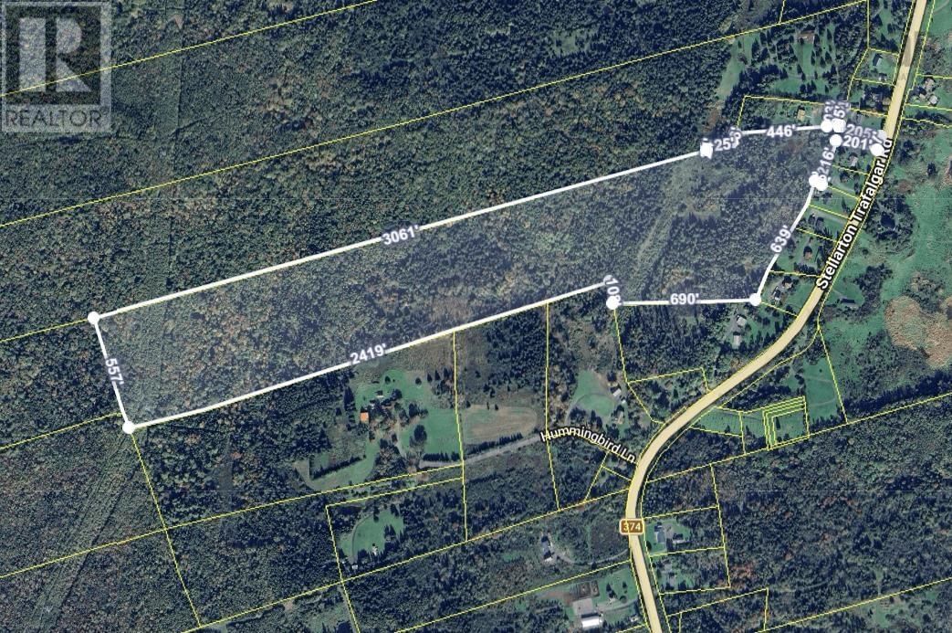 Lot STELLARTON TRAFALGAR ROAD Image 1