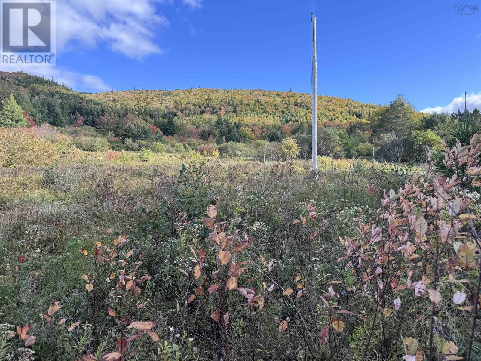 101 FERGUSON ROAD Image 1