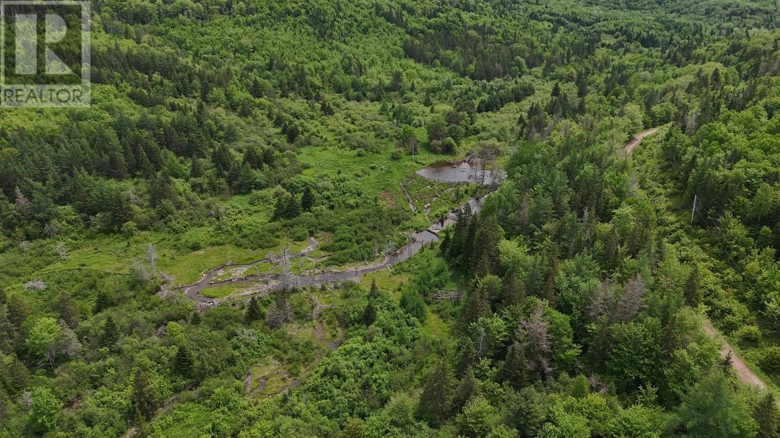 101 FERGUSON ROAD Image 11