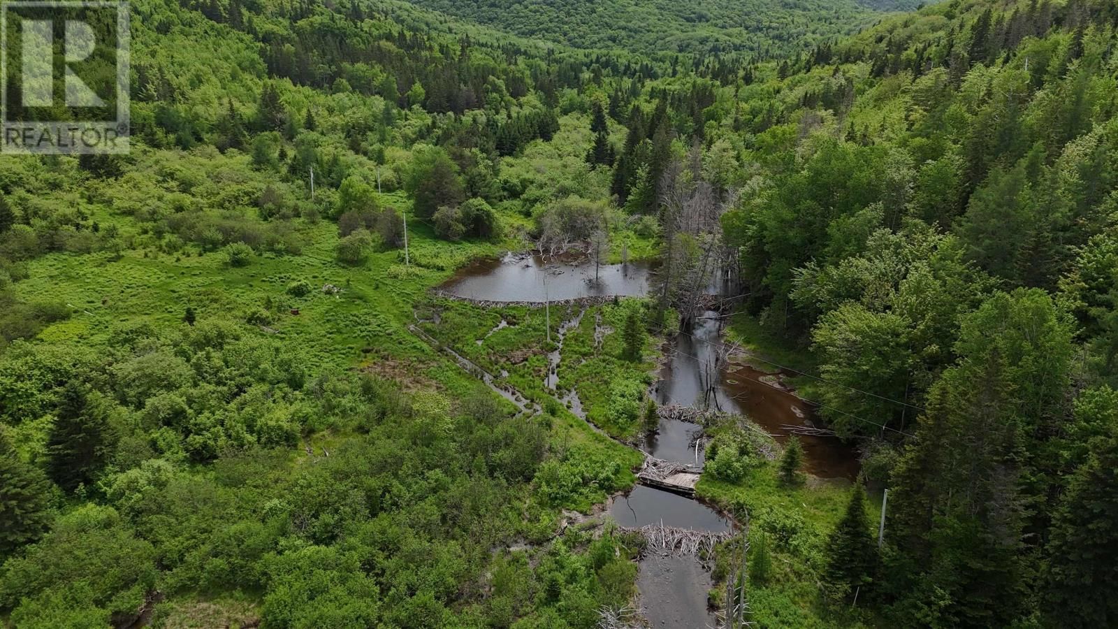 101 FERGUSON ROAD Image 12