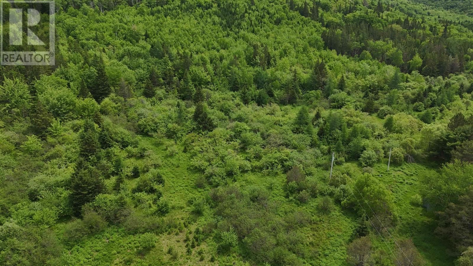 101 FERGUSON ROAD Image 13